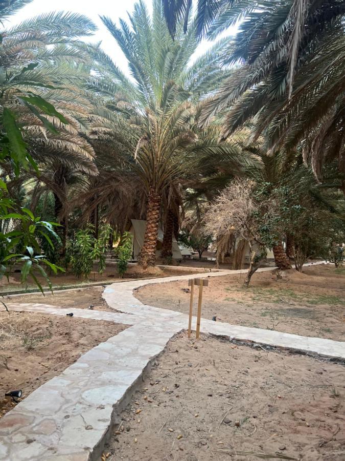 Hotel Husaak Glamping à Al-Ula Extérieur photo
